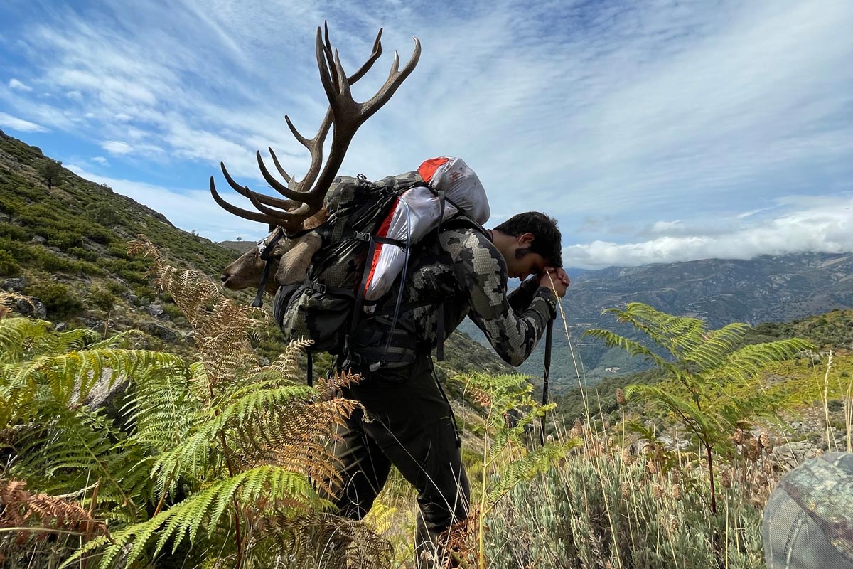 deer stalking in spanish mountains hunt in spain
