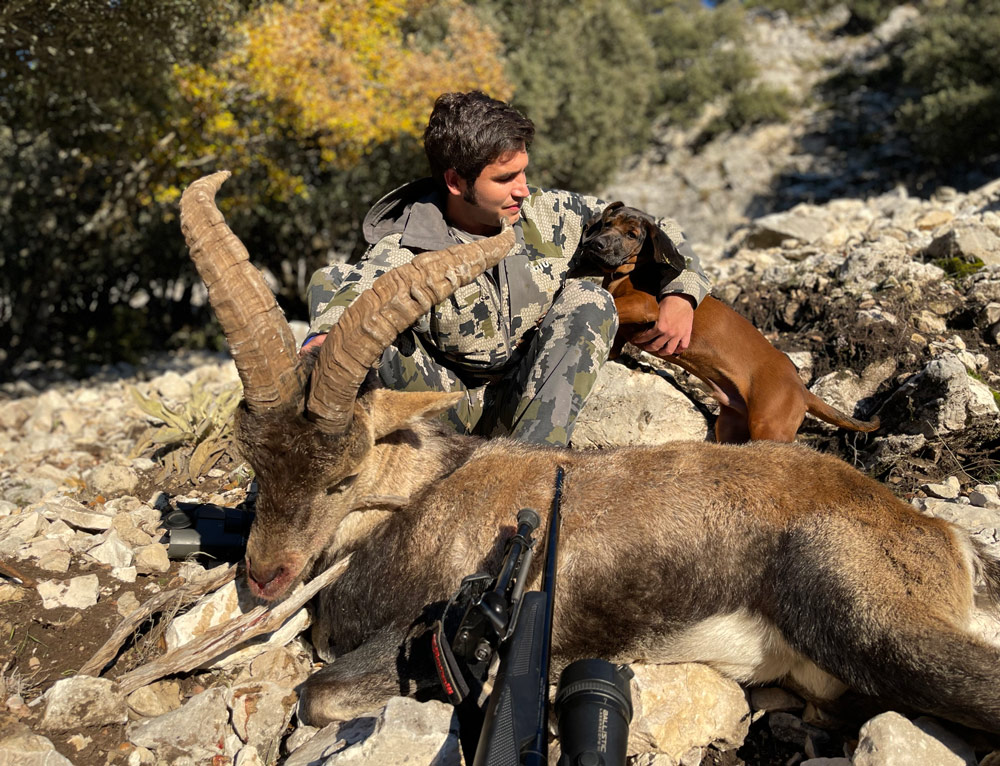 mountain spanish hunt ibex