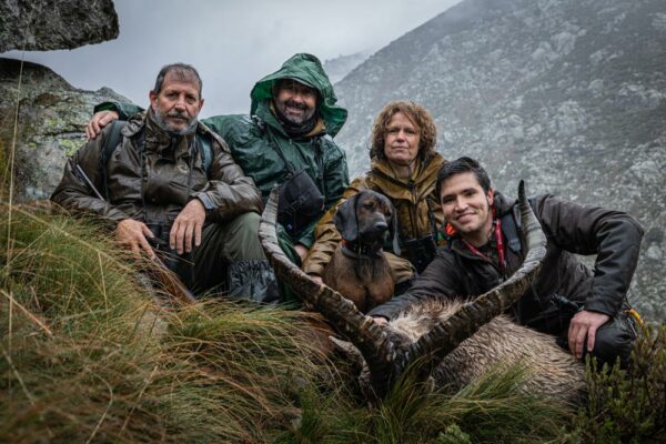 ibex trophy in gredos species hunt spain