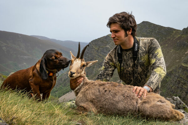 stalking hunt cantabrian chamois in spain