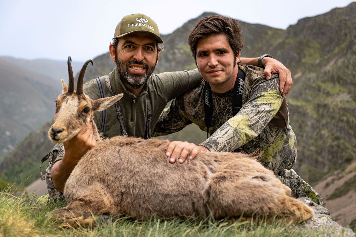 stalking hunt cantabrian chamois in spain