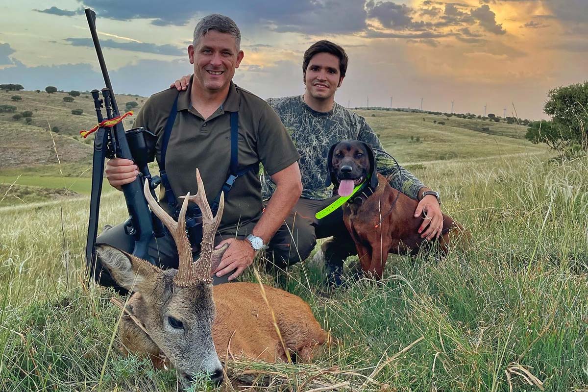 roe deer stalking in spain