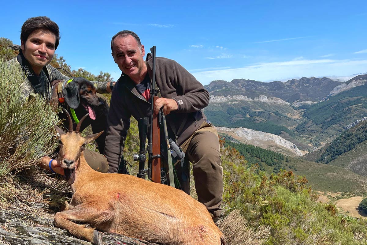 cantabrian chamois stalking jordi rececho rebeco cantabrico