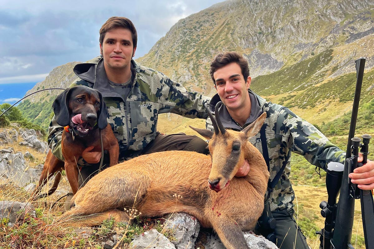 hunting cantabrian chamois in spain cazar rebeca cantabrica