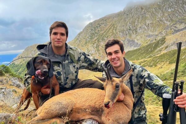 hunting cantabrian chamois in spain cazar rebeca cantabrica