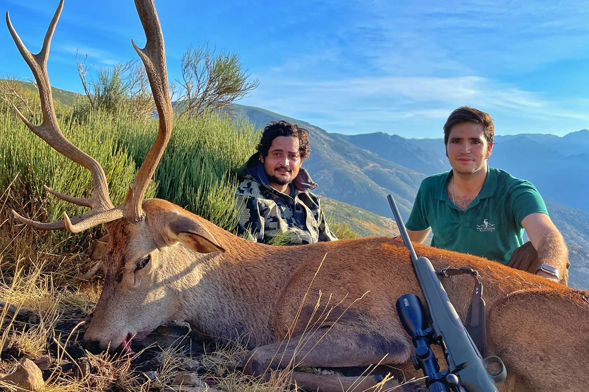 hunting red stags in gredos rececho de venao selectivo en gredos