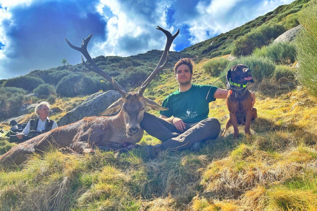 stalking red stags in gredos spain rececho venao gredos