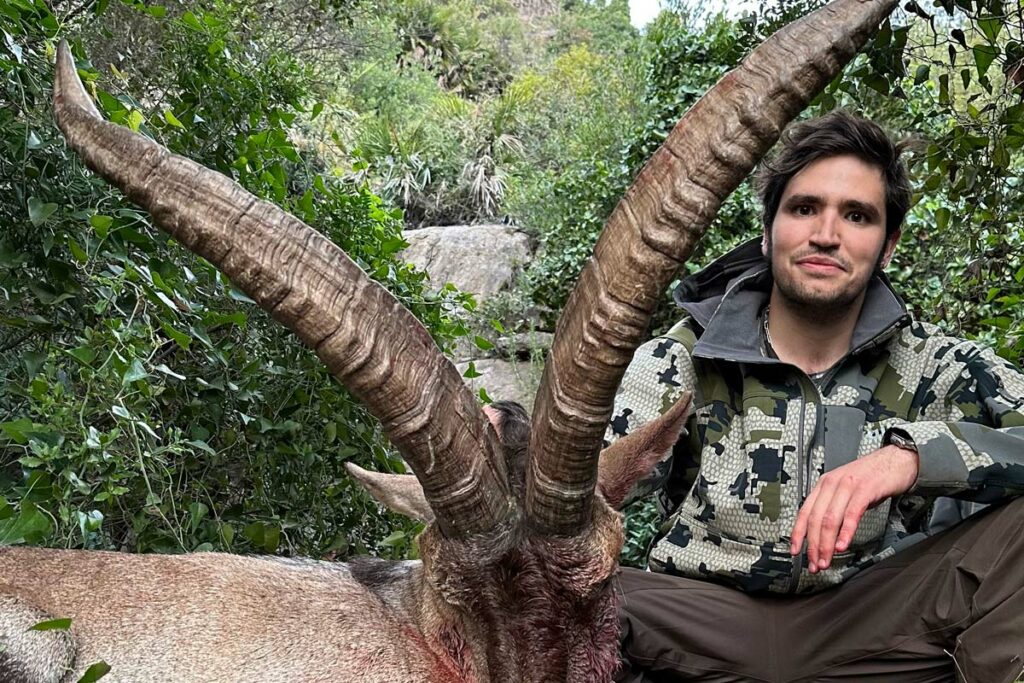 beceite ibex hunt macho montes de beceite