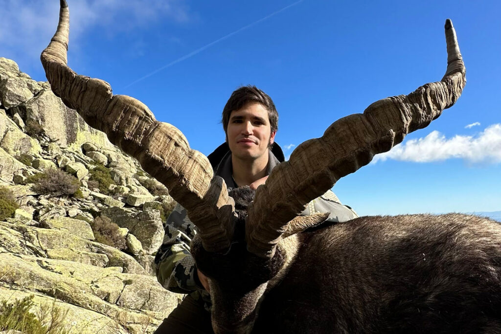hunting bronze medal gredos ibex spain