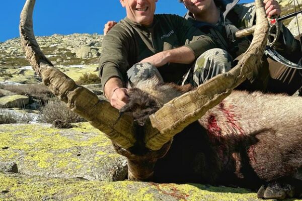 bowhunting gredos ibex spanish hunting