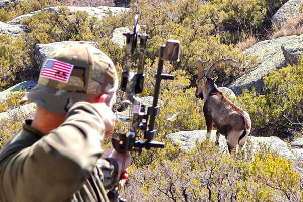 bowhunting spain gredos ibex spanish hunting