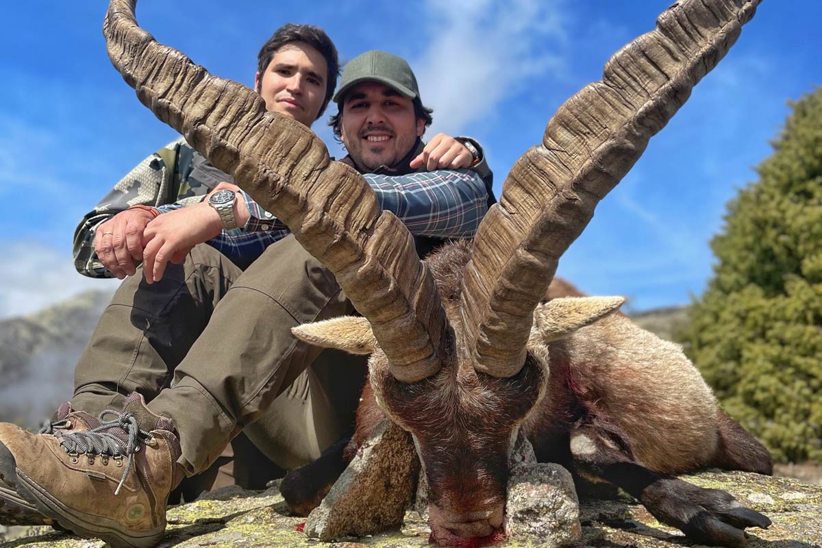 hunt silver medal gredos ibex gon