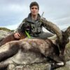 hunting in gredos a gredos ibex eeuu