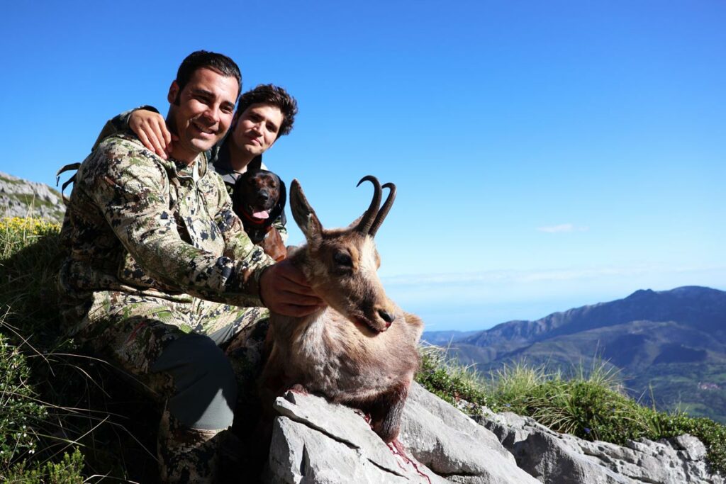 stalk in cantabrian mountainscantabrian chamois cazar rebeco