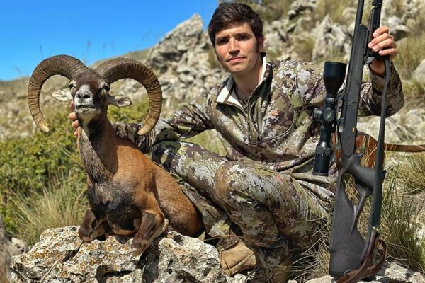 hunt-in-spain-a-representative-mouflon