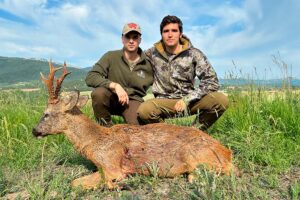 stalking a roe deer trophy in spain
