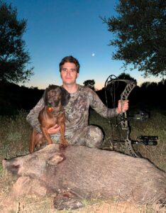 bowhunting wild boar in spain