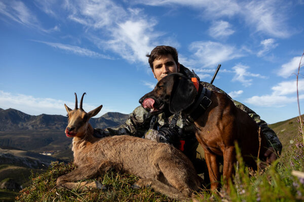 caza rececho de rebeco en las montanas espanolas