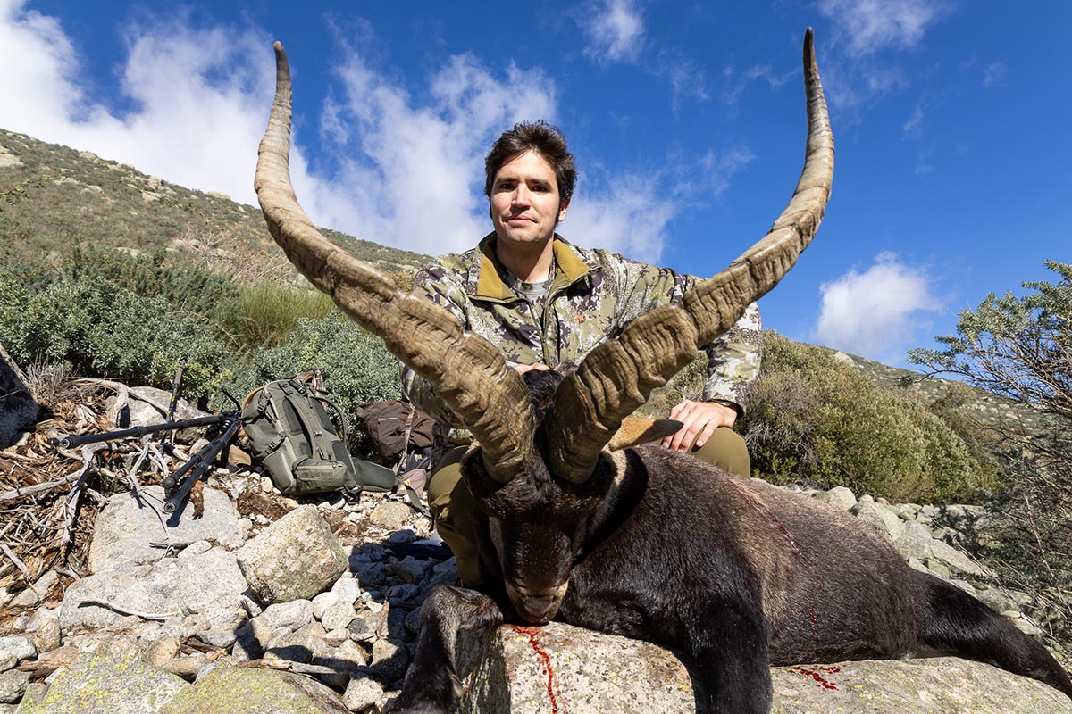 hunting ibex in gredos spain hunts in spanish mountains
