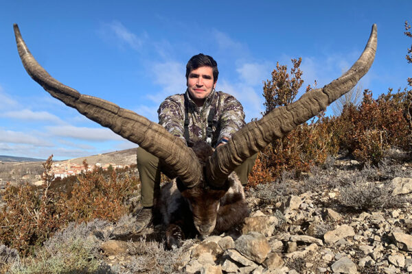 beceite ibex hunting spanish outfitters hunt in spain spanish ibex