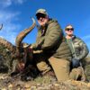 gredos hunting spanish ibex