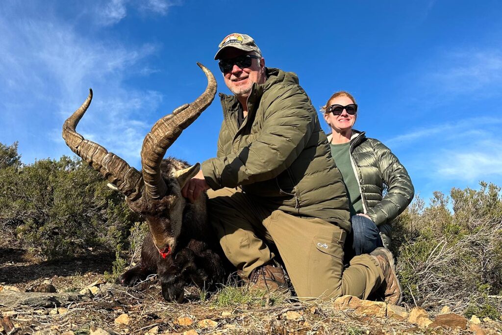 gredos hunting spanish ibex