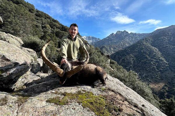 gredos ibex stalk guaranteed hunts in spain