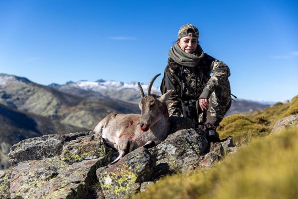 hunting ibex in spain gredos mountain
