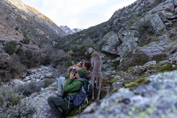 hunts gredos ibex in best hunting areas in gredos