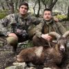 mouflon hunt in spain caceria de mouflon en espana