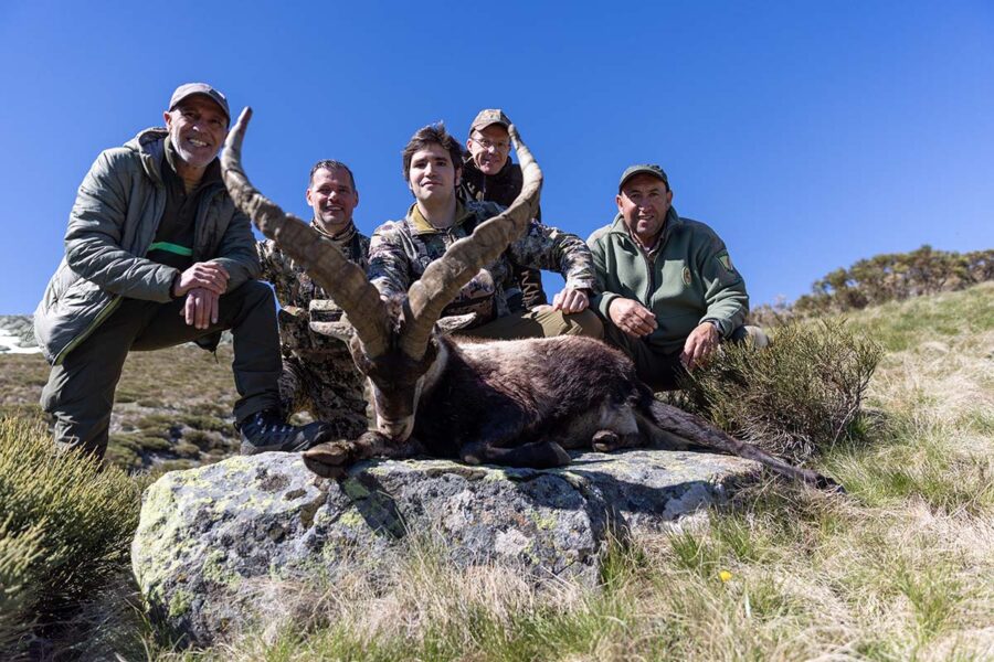 hunting gredos ibex with the bow hunting in spain