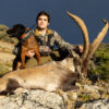 mountain hunting in spain beceite ibex