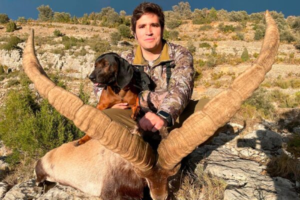 mountain hunts in spain beceite ibex chasse au bouquetin espagne