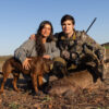 roe deer hunting in spain cazar corzo espana