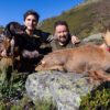 cantabrian chamois hunt in spain