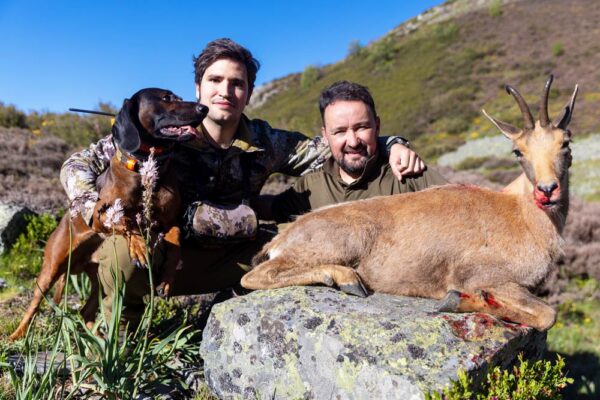 hunt in spain cantabrian chamois spanish hunts