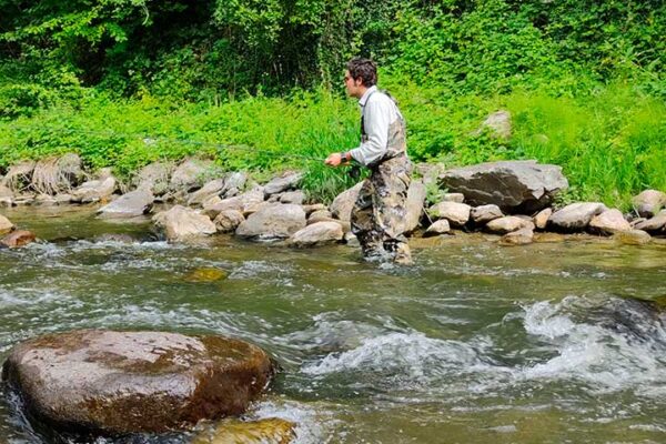 cazar corzos en espana chasse au chevreuil en espagne