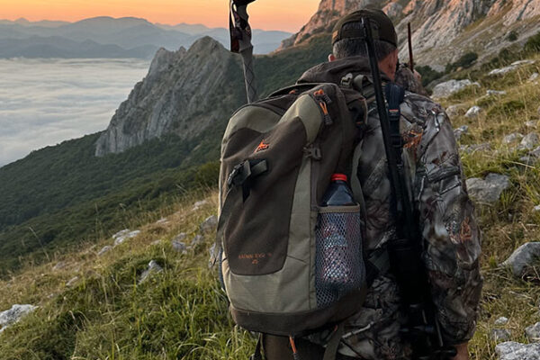 chamois a lapproche en espagne cantabrian chamois hunt in spain