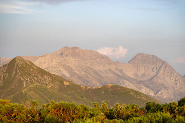 chasse au bouquetin en espagne cantabrian chamois hunt in spain