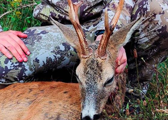 chasse au chevreuil de montagnes espagne