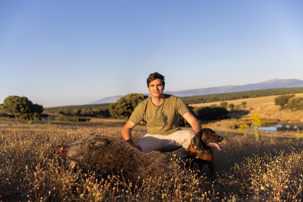 chasse au sanglier en espagne pourvoyeur espagnol agence de chasse espagne