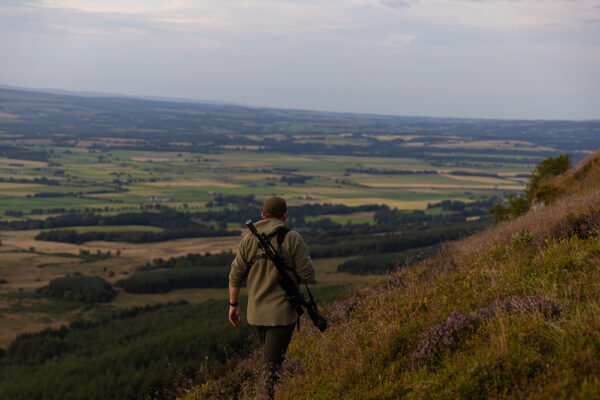 chasser chevreuil en ecosse agence de chasse en ecosse