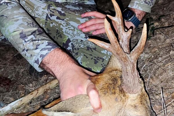 hunting-roe-deer-in-spain-traque-de-chevreuil-en-spagne