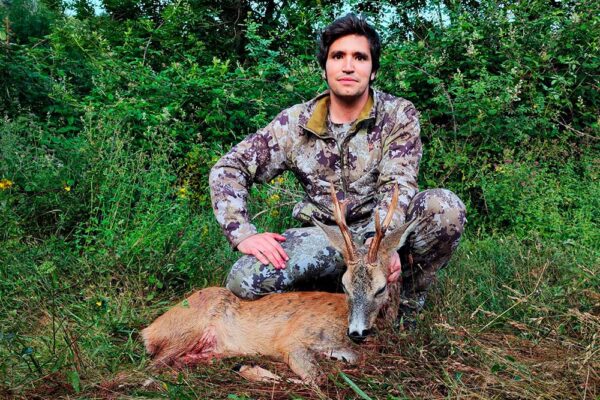 hunting sapanish roe deer in the mountain