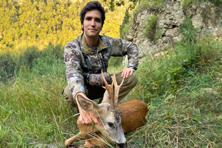 roe deer hunt in spain hunting agency in spain