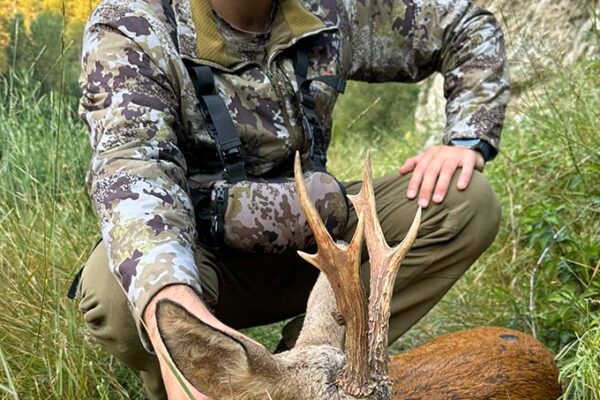 roe deer hunt in spain hunting spanish outfitter