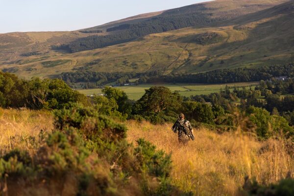 roe deer hunts in scotland hunting agency in scotland