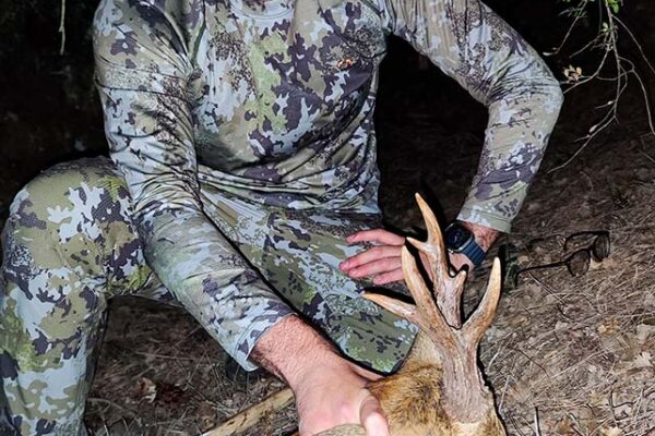 stalking roe deer in spain rececho de corzo en espana