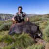 wild boar hunt in spain mountain hunting in spain