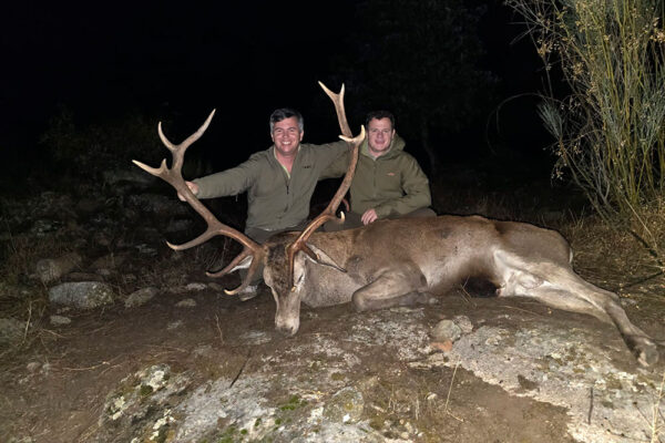 deer hunts in pain hunting trips in spain spanish deer red stag